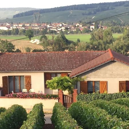 La Loge Du Vigneron Villa Vauciennes Kültér fotó