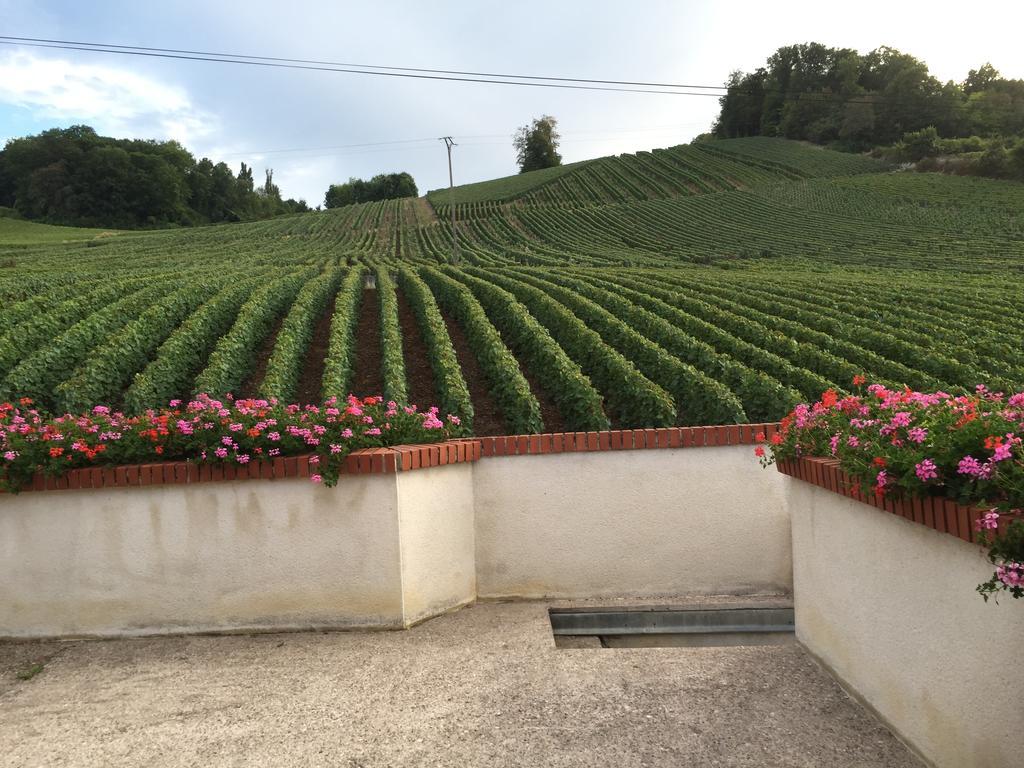 La Loge Du Vigneron Villa Vauciennes Kültér fotó