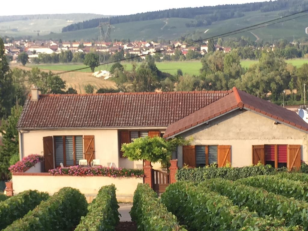 La Loge Du Vigneron Villa Vauciennes Kültér fotó